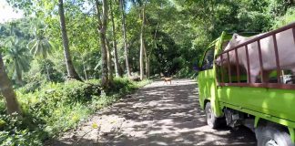 MTB Ride in Cebu, Philippines